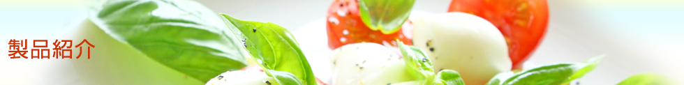 製品紹介